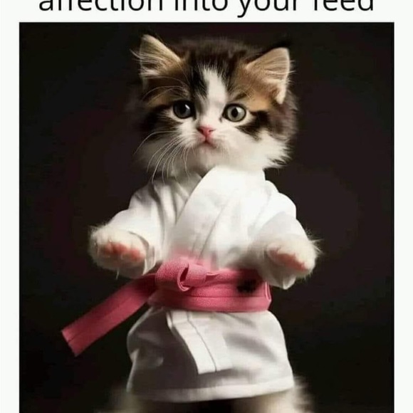 Hi there welcome to my closet feel free to bundle & save! 👠🛍️💋✨🧸🥂 - Picture 15 of 16